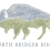 North Bridger Bison